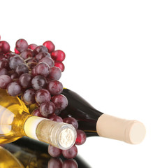 Bottles of great wine isolated on white