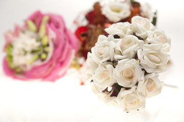 Flowers on white background