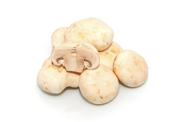 Agaricus bisporus