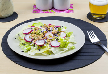 ensalada de lechuga lombarda y rabanos