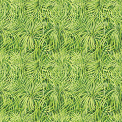 Naklejka na ściany i meble seamless pattern - grass