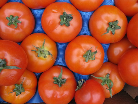 Tomatoes in a blue tube at the greengrocer on the market