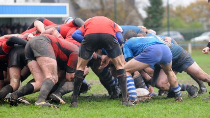 dans la m&ecirc;l&eacute;e au rugby