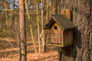 Birdhouse in forest