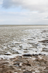 Drifting ice in the sea © Ivonne Wierink