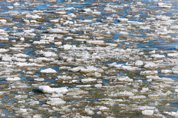 Drifting ice in the sea © Ivonne Wierink
