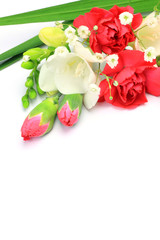 carnation and freesia