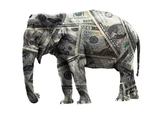 Fototapeten Dollar elephant © Fyle