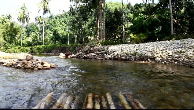 River in the jungle