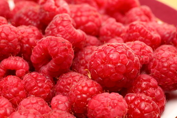 Frambuesas de España