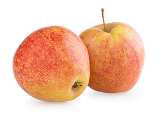 Two red-yellow apple fruits