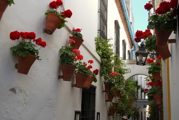 Fototapeta na wymiar Ulica z kwiatów, Kordoba, Hiszpania ? Arena Zdjęcie brytyjskich