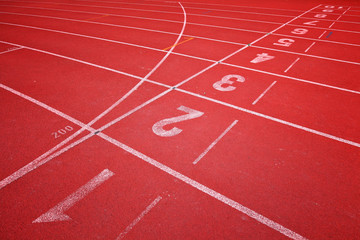 Fototapeta premium sport field