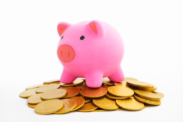 Piggy bank and gold coins