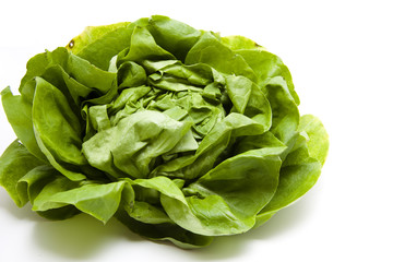 Grüner Kopfsalat