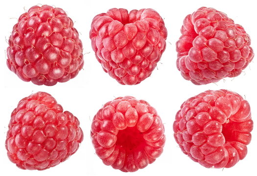 Collection of ripe red raspberries