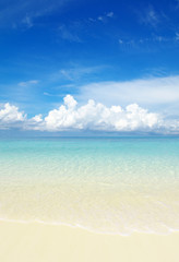 Fototapeta premium beach and tropical sea