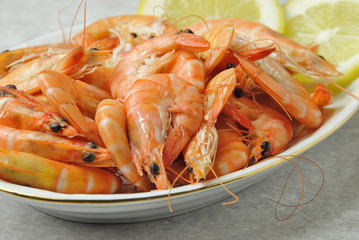 gamberetti freschi nel piatto