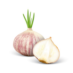 Garlic
