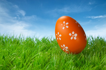 Color easter egg in the grass on blue