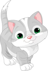 Deurstickers Katten Leuk grijs katje