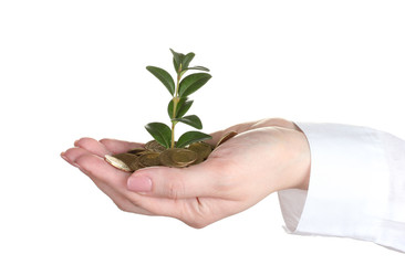 Woman hand with coins and plant isolated on white