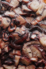 Octopus vacuum 章鱼真空