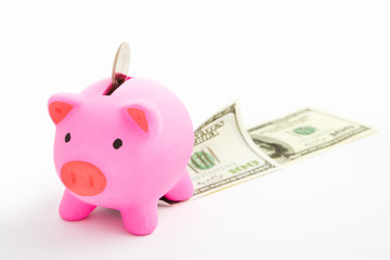 Piggy bank and dollar
