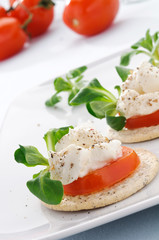 Tartine con pomodoro e formaggio, close-up
