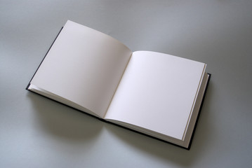 Plain open book - 39886717