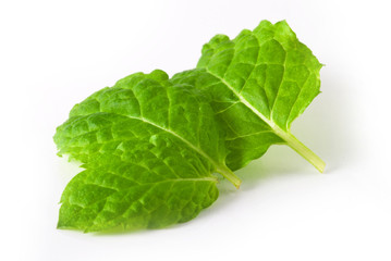 mint leaves