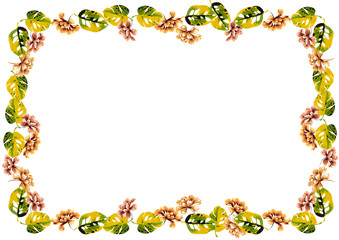 flowers frame in white background isolated