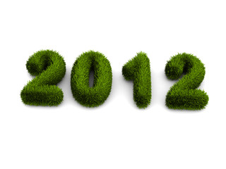 2012 new year grass concept
