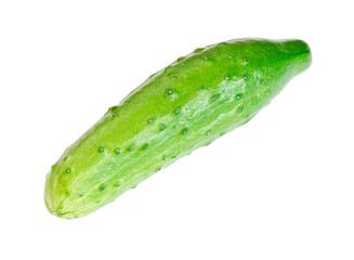Cucumber isolated on white background