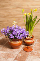 Pots with flowers on a floor, a close up