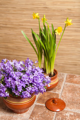 Pots with flowers on a floor, a close up