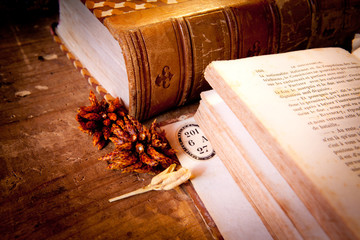 biblioteca