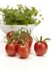 Cherry tomatoes on the vine