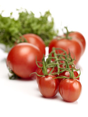 Closeup of cherry tomatoes on the vine