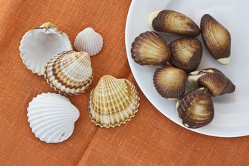 Chocolate sweets and seashells