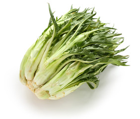 puntarelle, asparagus chicory, italian winter vegetable