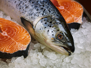 Fresh salmon