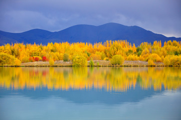 Autumn Reflection, South Island, New Zealand.