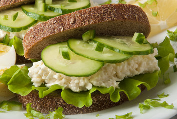 Healthy sandwich with cucumber and egg with cheese for breakfast