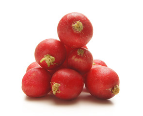 Fresh and tasty red radishes on a white background