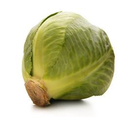 A fresh green cabbage isolated on a white background