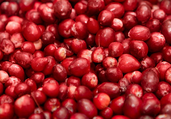 group of red berries