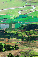 Farmer field