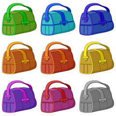 Leather bag, set