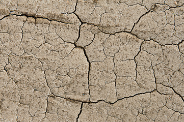 Cracked ground
